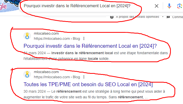 seo local seine et marne