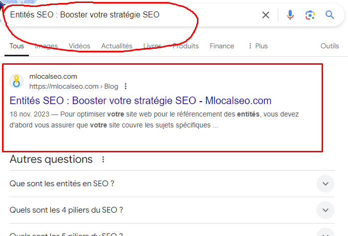 SEO local tpe et PME Seine et Marne